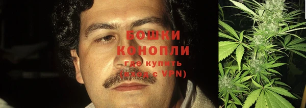 индика Инсар