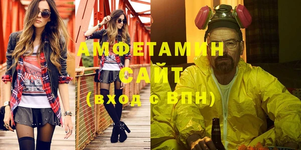 индика Инсар