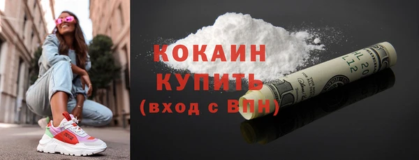 индика Инсар
