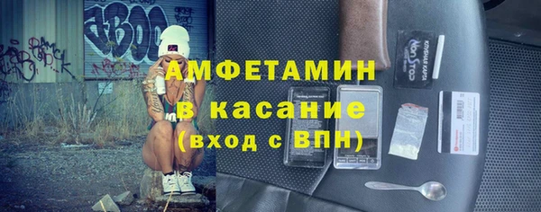 индика Инсар