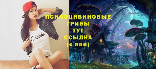 индика Инсар