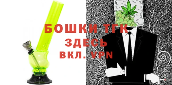 индика Инсар