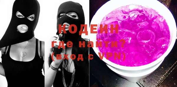индика Инсар