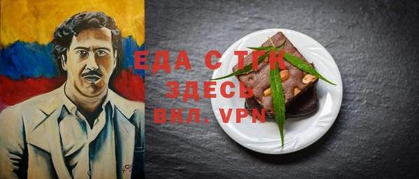 индика Инсар