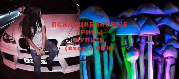 индика Инсар