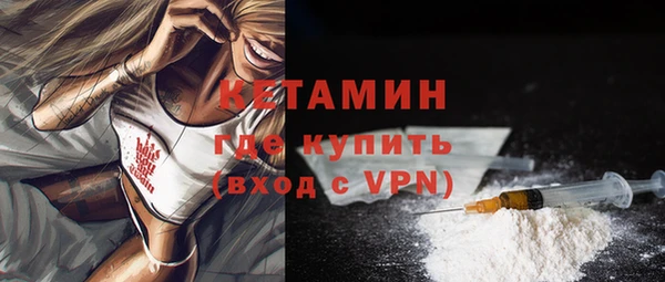 индика Инсар