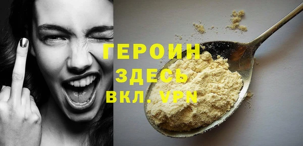 индика Инсар