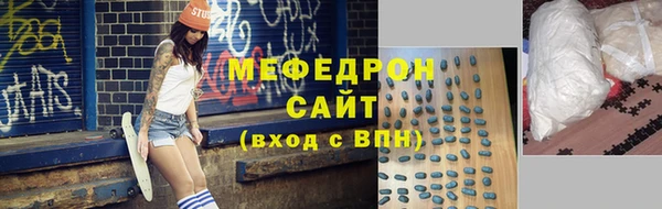 индика Инсар