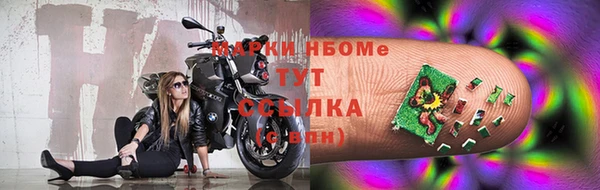 индика Инсар
