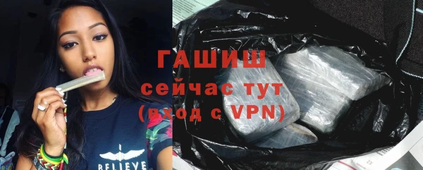 индика Инсар