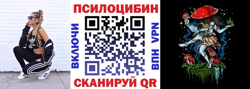 Псилоцибиновые грибы Psilocybe  где можно купить   Мезень 